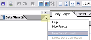 Data View Palette Fly-Out Menu